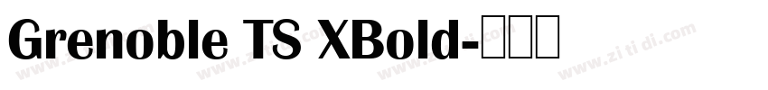 Grenoble TS XBold字体转换